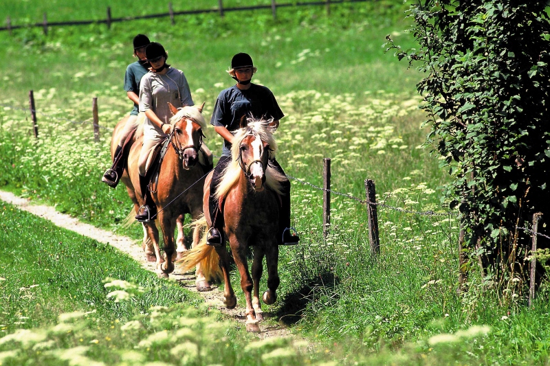 Reiten im Sommer